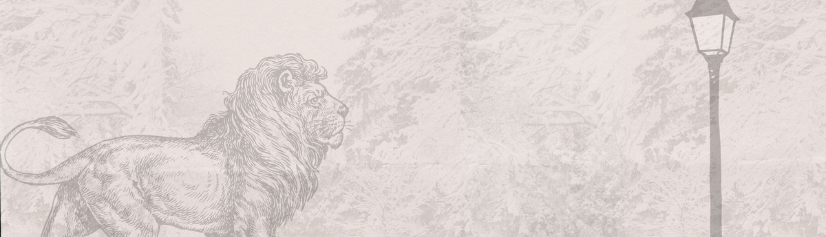 MS Play Lion Witch Wardobe